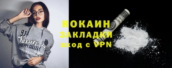 дурь Заводоуковск