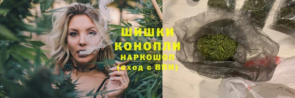 дурь Заводоуковск
