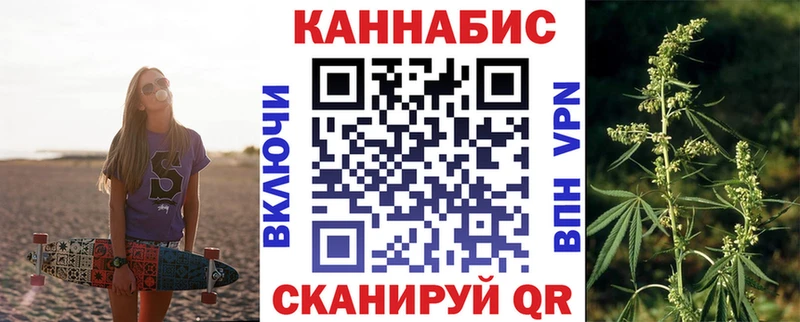 как найти наркотики  Ивангород  Конопля гибрид 